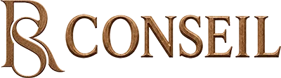 Logo Rs Conseil